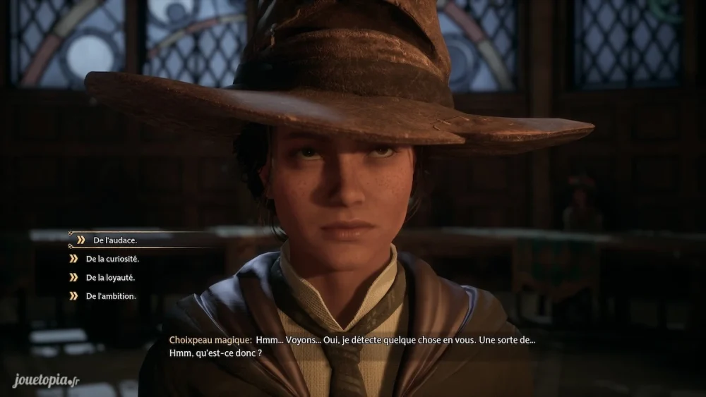 Hogwarts Legacy : Choix de maison